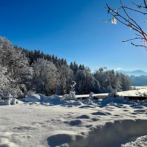  Ferienhaus Landsitz Rocky Docky
